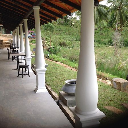 Explore Sinharaja Rain Forest Tour Camp Dombagoda Exterior foto