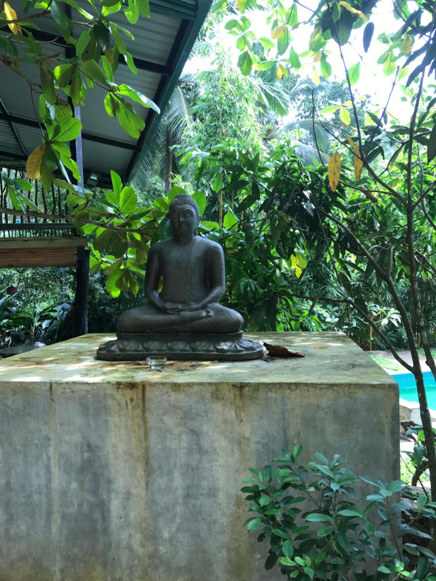 Explore Sinharaja Rain Forest Tour Camp Dombagoda Exterior foto