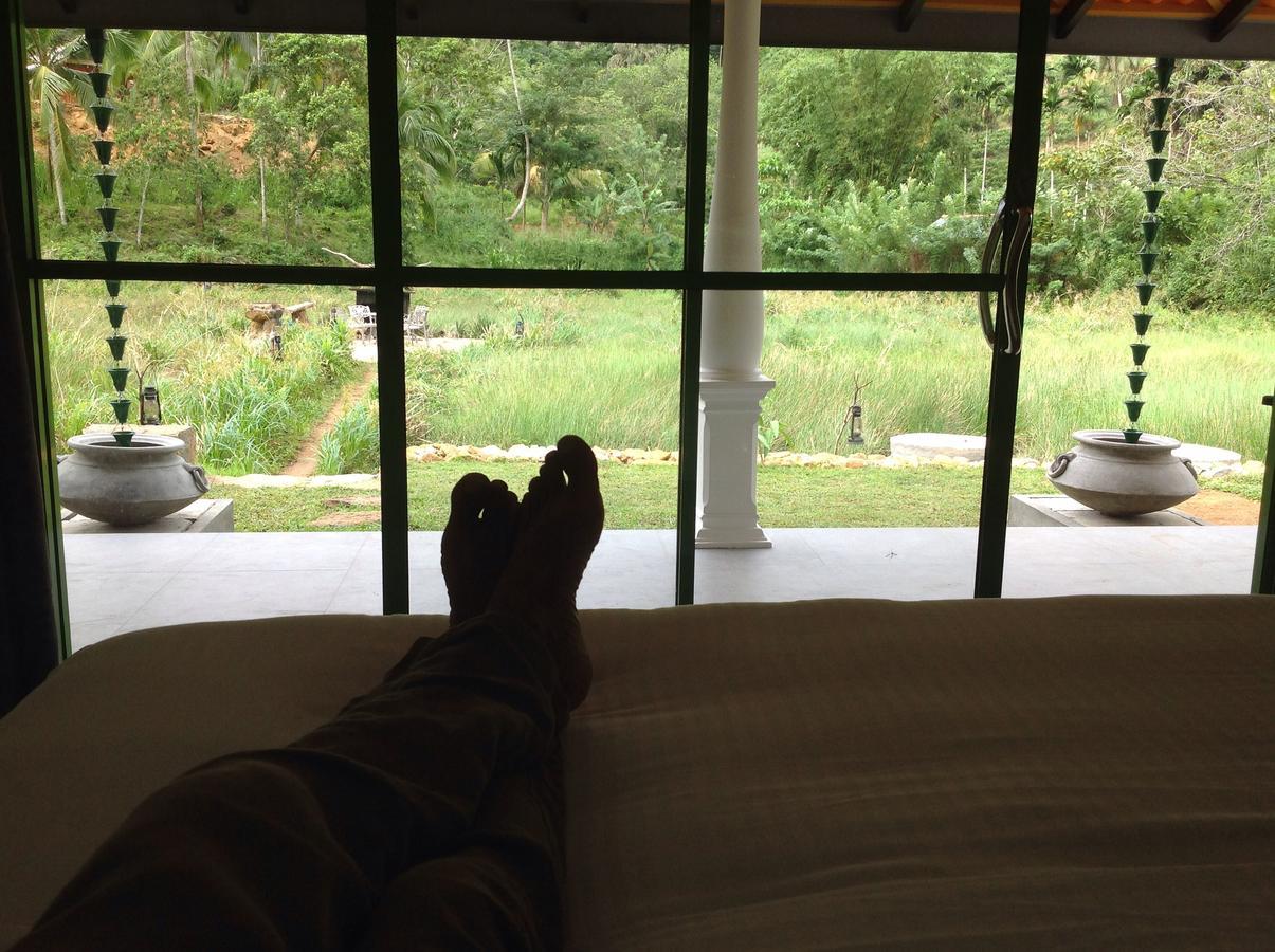 Explore Sinharaja Rain Forest Tour Camp Dombagoda Exterior foto