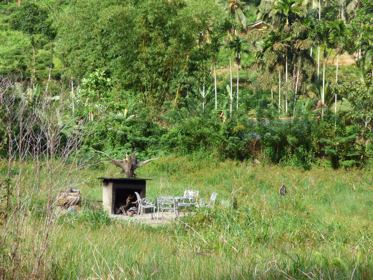 Explore Sinharaja Rain Forest Tour Camp Dombagoda Exterior foto