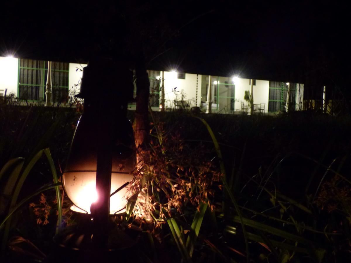 Explore Sinharaja Rain Forest Tour Camp Dombagoda Exterior foto