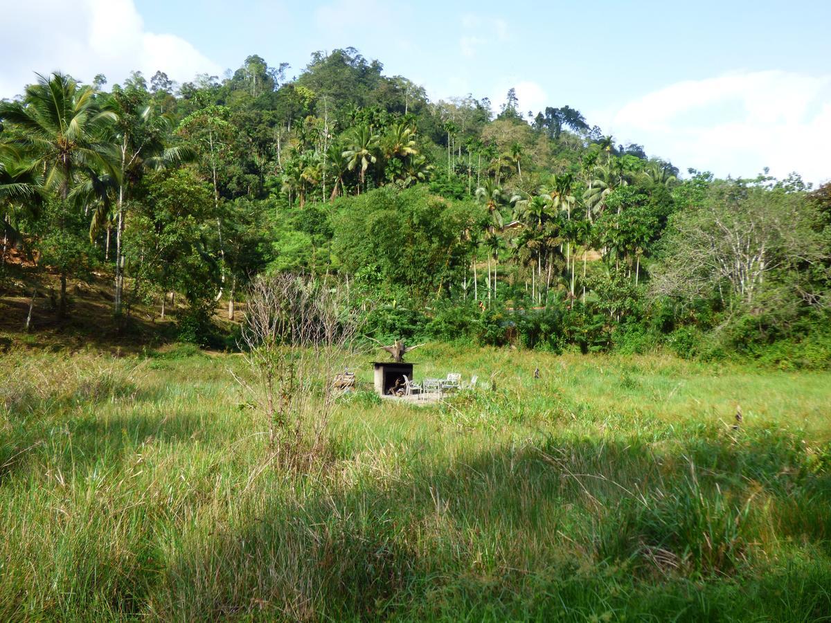 Explore Sinharaja Rain Forest Tour Camp Dombagoda Exterior foto